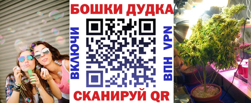 Бошки Шишки семена  купить наркотик  OMG   Ковдор 